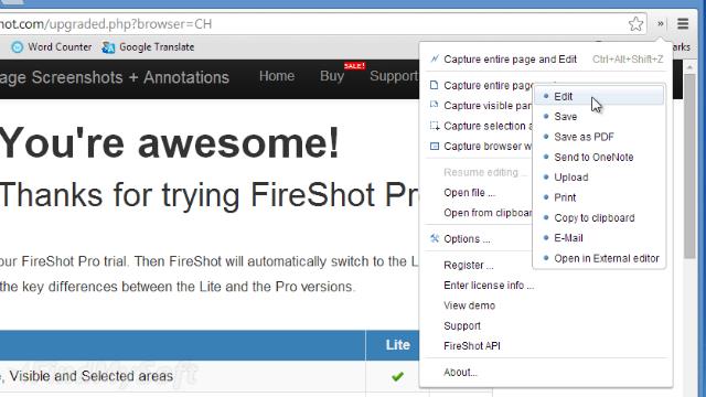 Fireshot Download